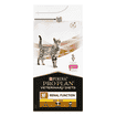 FELINE NF Renal Function Early Care