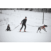 Loype Belt PRO