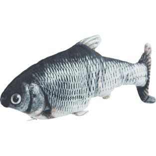 Zappelfisch