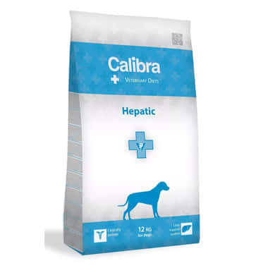 Canine Hepatic