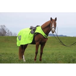 Couverture de sortie à cheval Deluxe 50 g