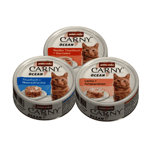 Carny Ocean Adult Cat