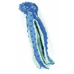 swisspet Noppi-Play octopus