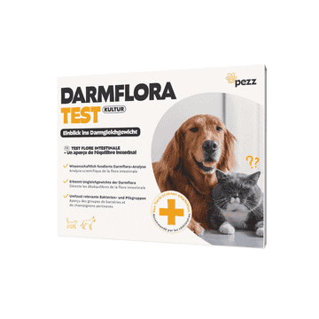 Test de la flore intestinale
