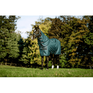 Amigo Ripstop 900D Pasture Rug green/silver