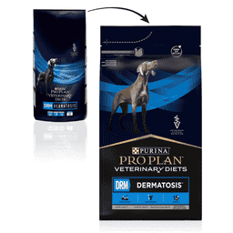 CANINE DRM Dermatosis