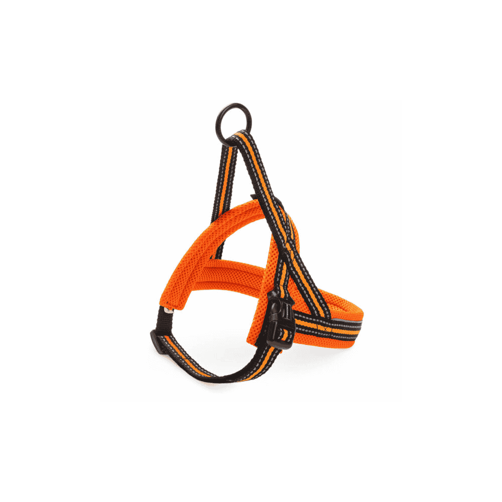Nordic Sport Mini M4 harness