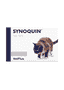 Synoquin chat