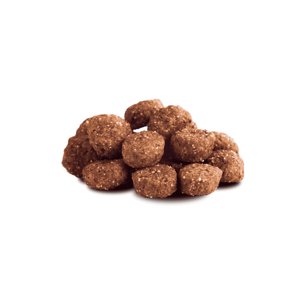 Beef Adult Minis