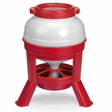 Distributeur de nourriture pour poules