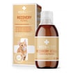 RECOVERY Renal Chat 1x280ml