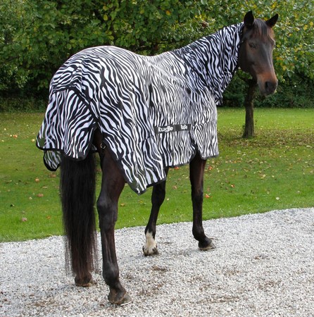 RugBe Fliegen- und Ekzemerdecke Zebra mit Halsteil