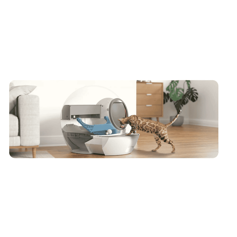 Caisse fermée pour chats CLB1