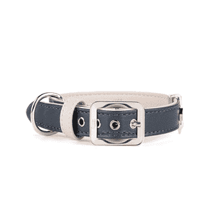 Hermitage Vitello Halsband für Hunde in blau