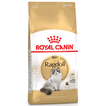 Ragdoll