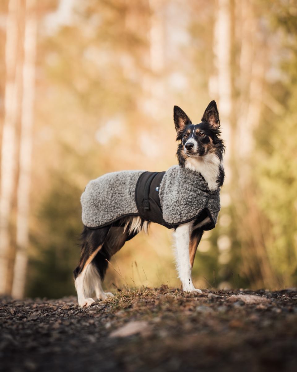 Manteau en laine Hybrido Dove Grey