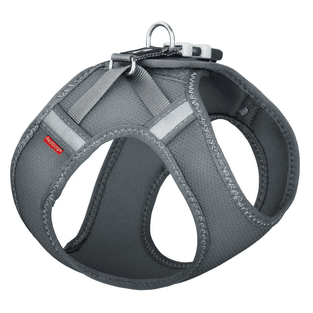 Dog Harness Mesh cool gray