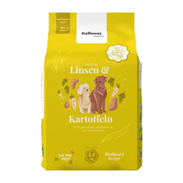 Dog Lentilles & Pommes de terre Vegan