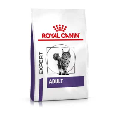 Adult Cat