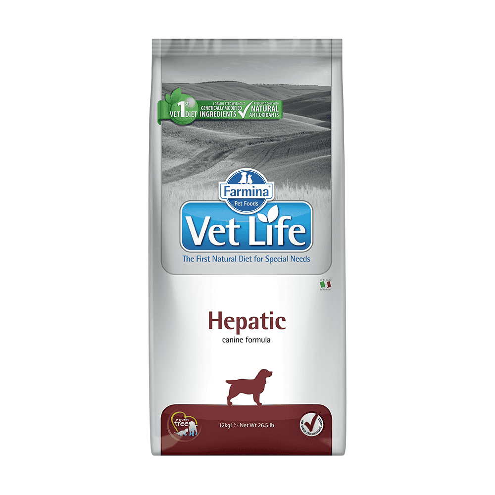 Canine Hepatic