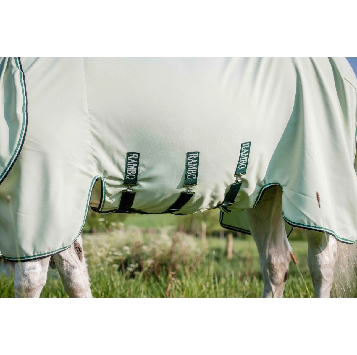 Rambo Hoody fly rug