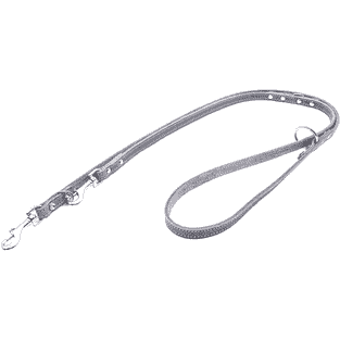 Laisse en cuir souple rivetée avec couture décorative, gris