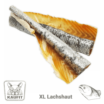 Peau de saumon en tige XL