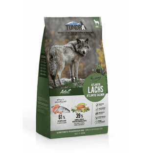 Dog Atlantic Salmon