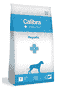 Canine Hepatic