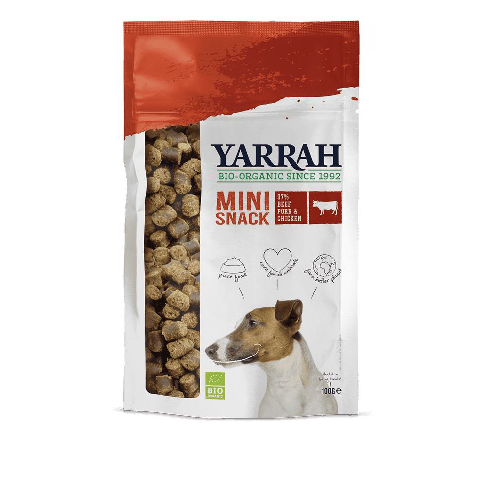 Organic mini snack for dogs
