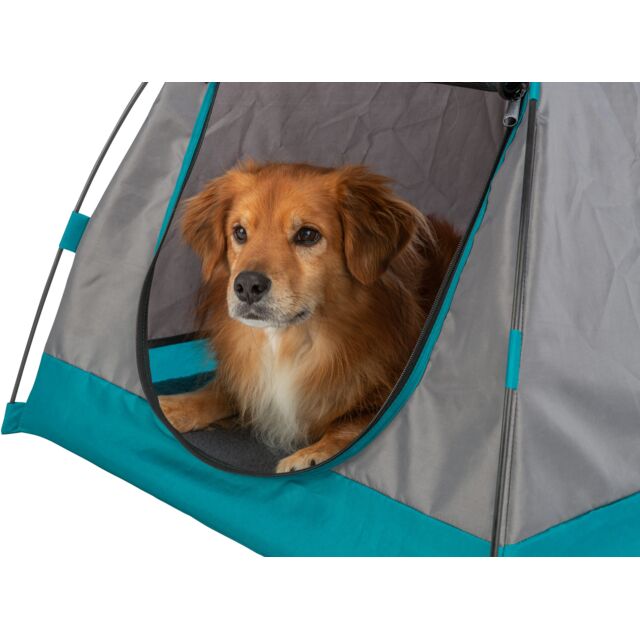 Tent for dogs dark gray/petrol