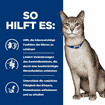 Feline k/d Kidney Care Chicken