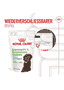 Immunity & Digestion Chews Puppy Supplements