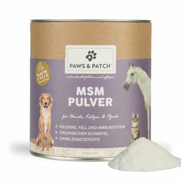 MSM Pulver