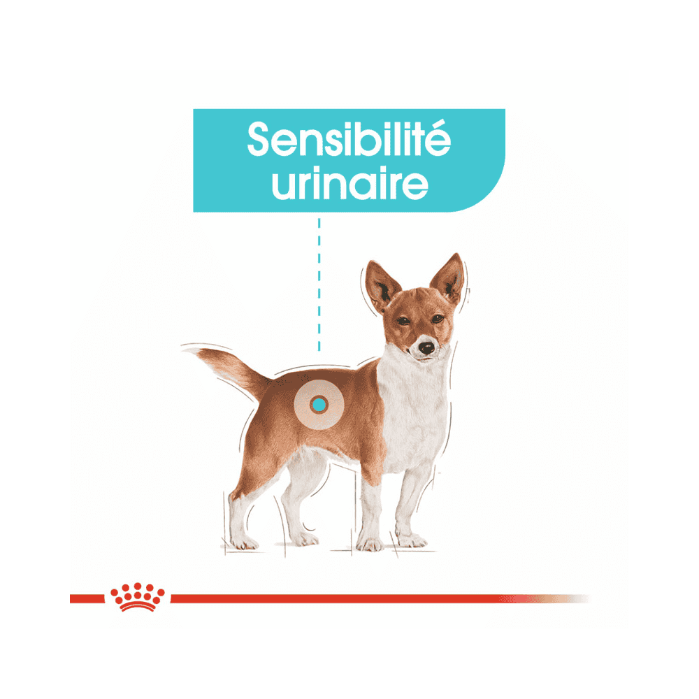 Urinary Care Mini