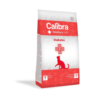 Feline Diabetes