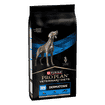 CANINE DRM Dermatosis
