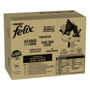 So gut wie es aussieht Fisch Mega-Jumbo Pack 120x85g