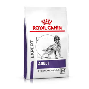 Adult Medium Dog