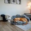 Komfortbett Paw