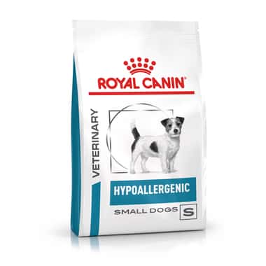 Hypoallergenic Small Dogs