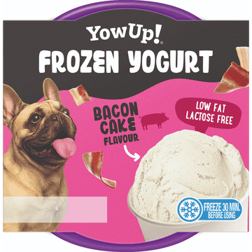 Dog Frozen Yogurt