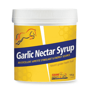 Garlic Nectar Syrup