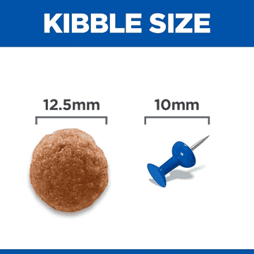 Canine Perfect Digestion Medium Breed