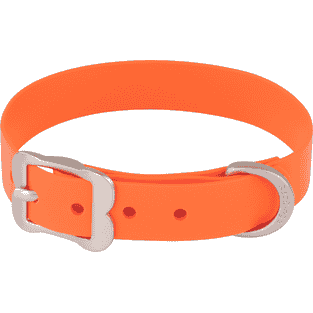 Halsband Vivid PVC