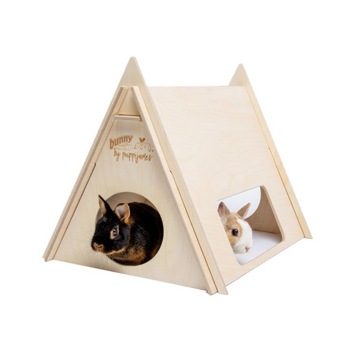 Tent bed
