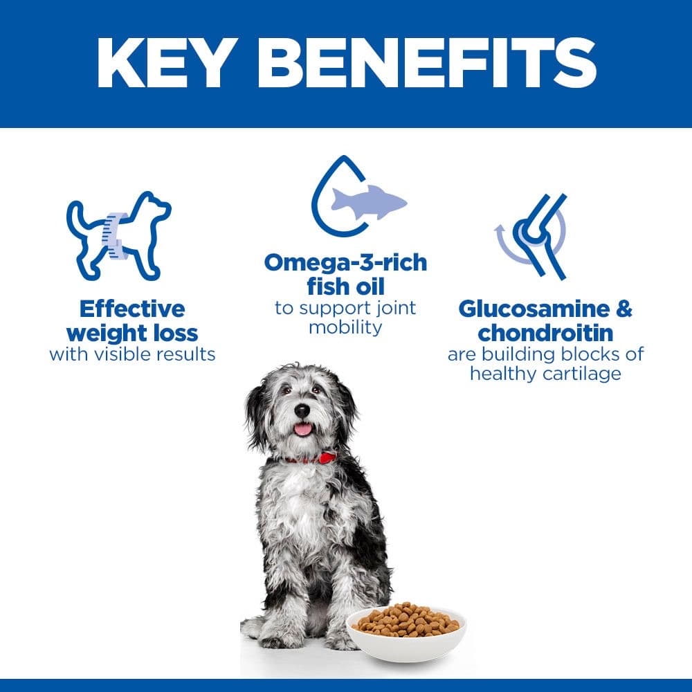 Canine Perfect Weight + Active Mobility Medium Breed