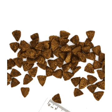 Gastrointestinal Dog Adult