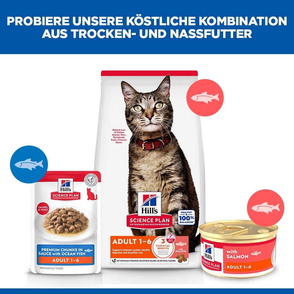 Feline Adult 1-6 Mousse