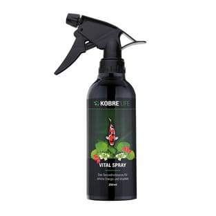 Vital Spray